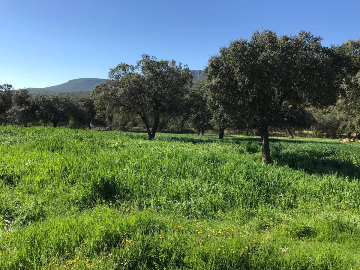 Casa Rural De La Finca Sierra Grande Hornachos Екстер'єр фото